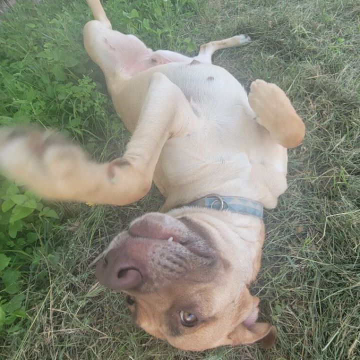 Marley  2
