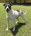 ZIGGY photo 1