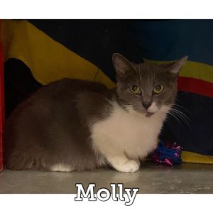 Molly