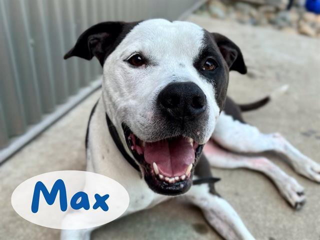 MAX