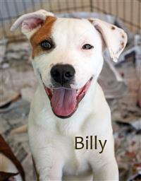 Billy