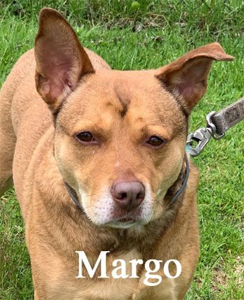 Margo