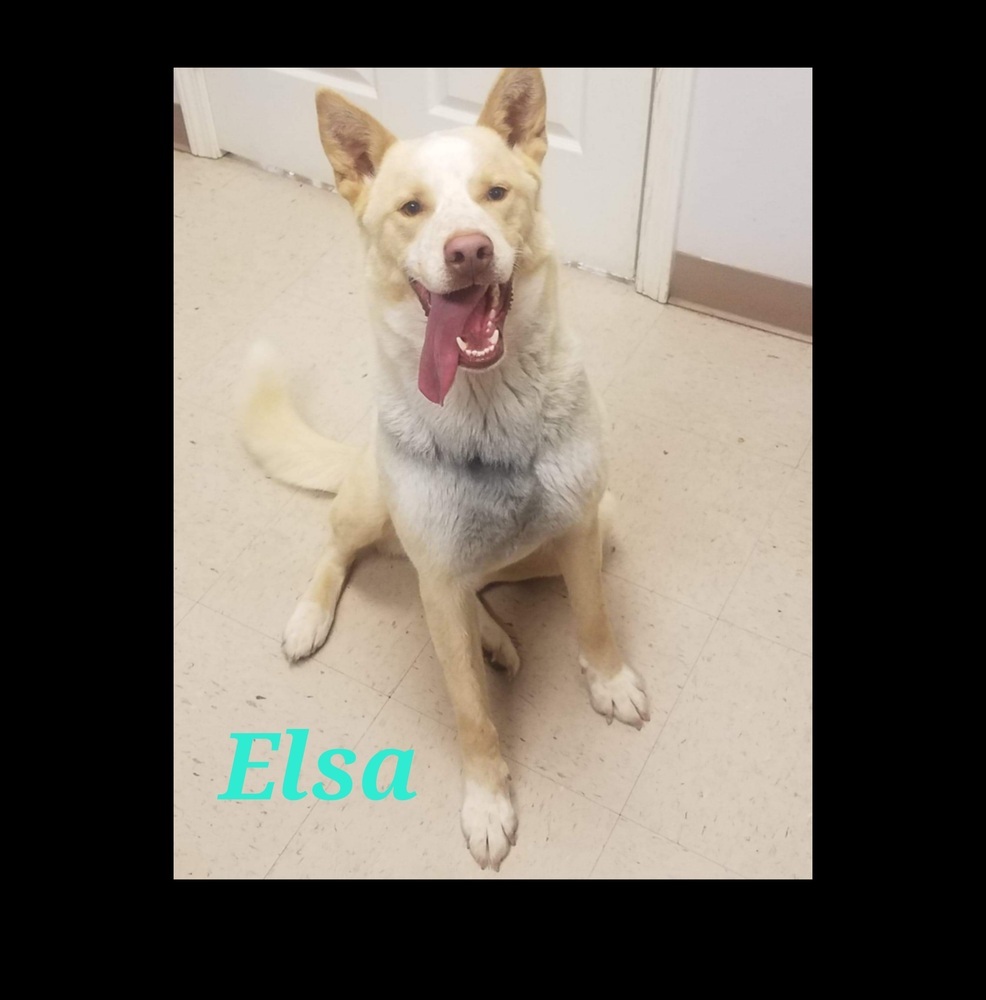 Elsa