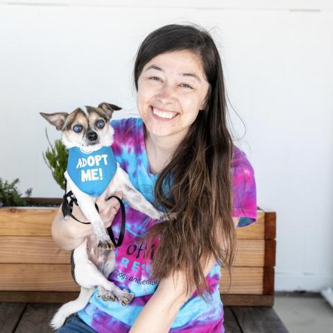 Horchata, an adoptable Chihuahua in Pacific Grove, CA, 93950 | Photo Image 2