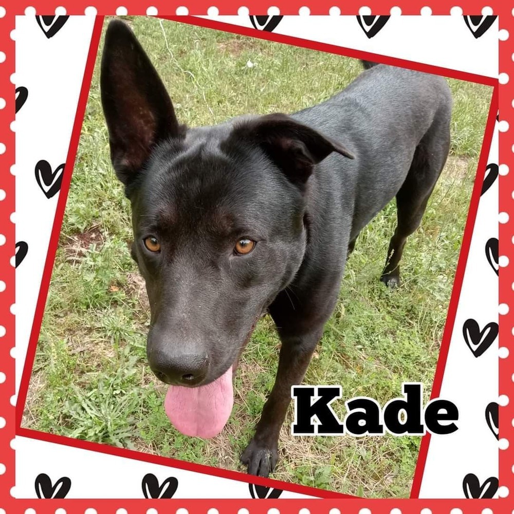 Kade