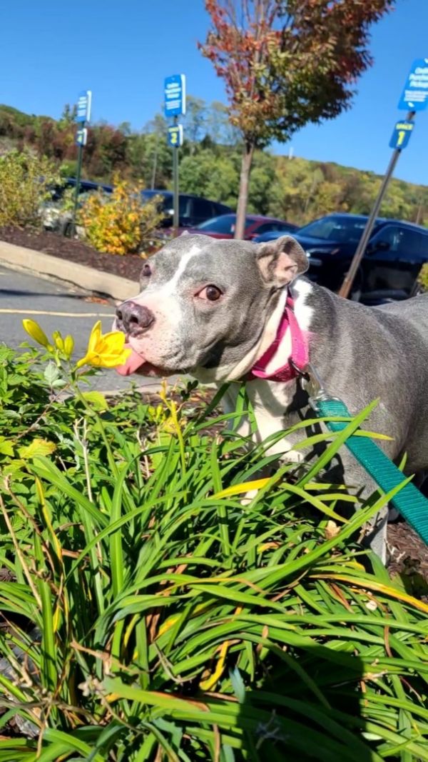 Amy