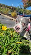 Amy