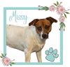 Missy