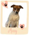 Missy