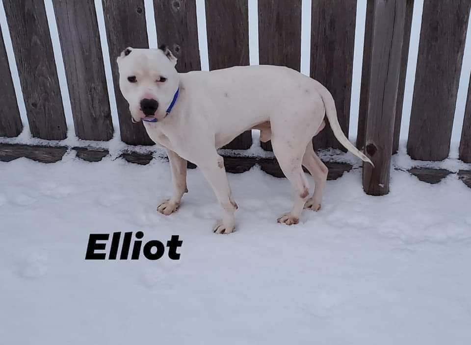 Elliott detail page