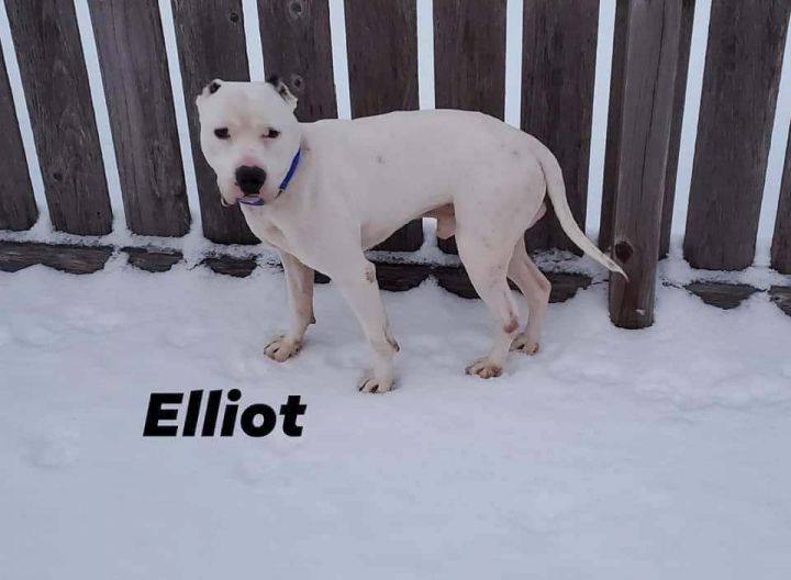 Elliott 1