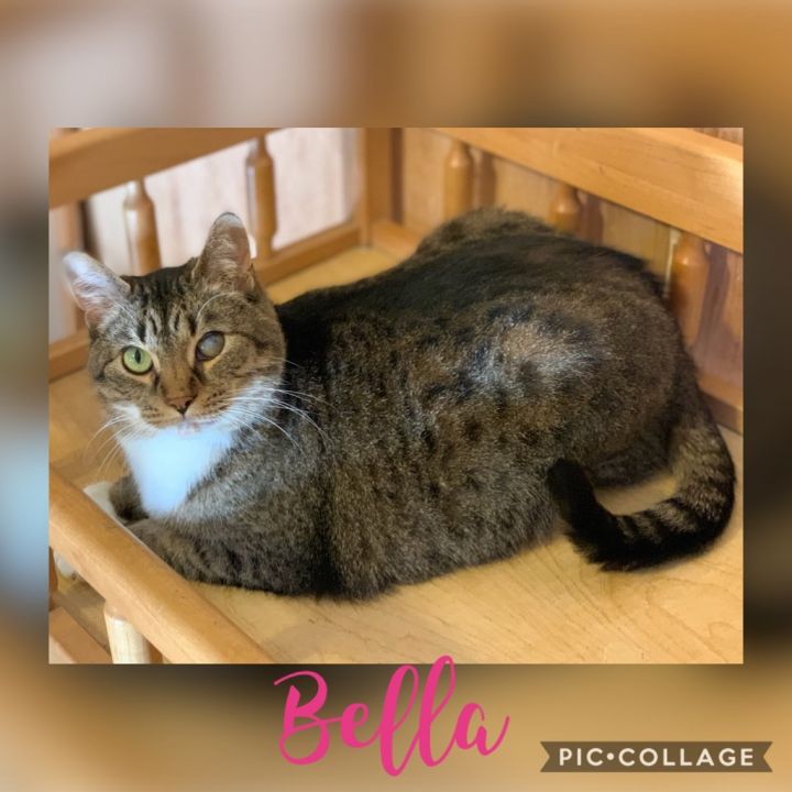 Bella 2 1