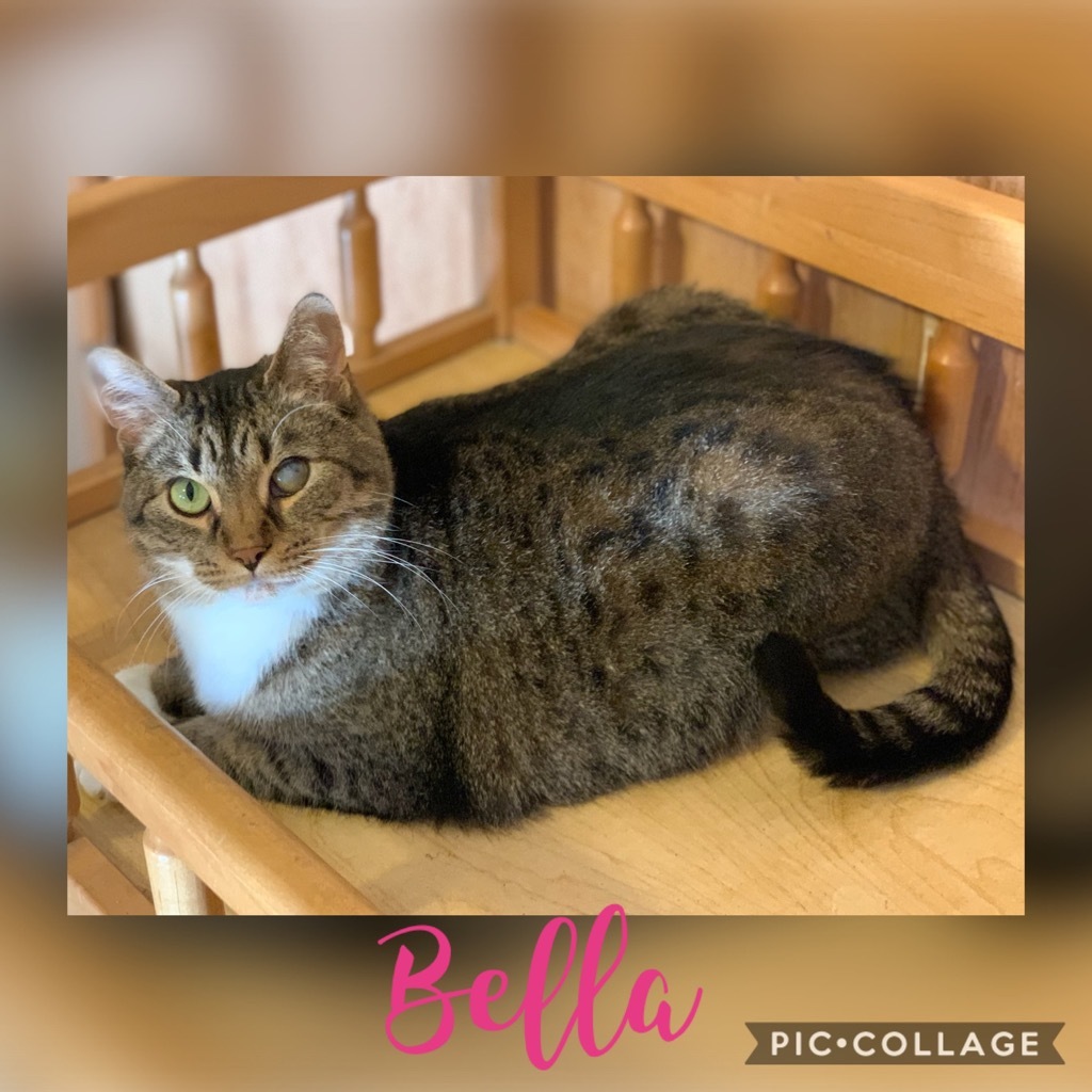 Bella 2 detail page