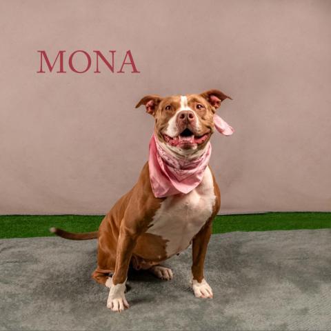 Mona 05-2038