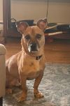 Jack photo 2