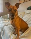 Jack photo 3