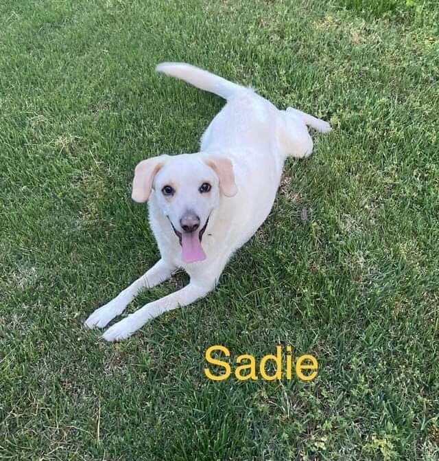 Sadie