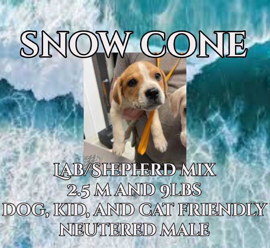 Snow Cone