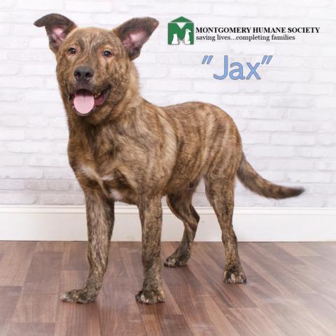 Jax