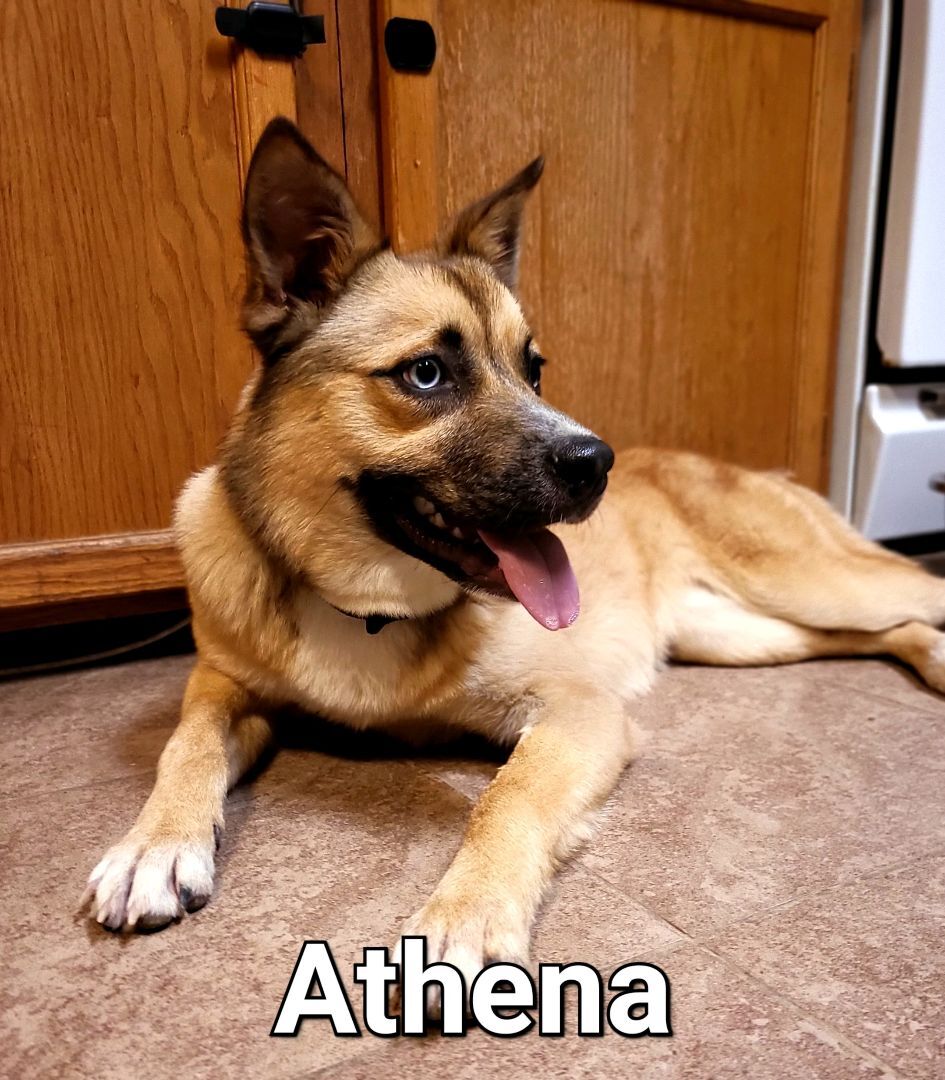 Athena