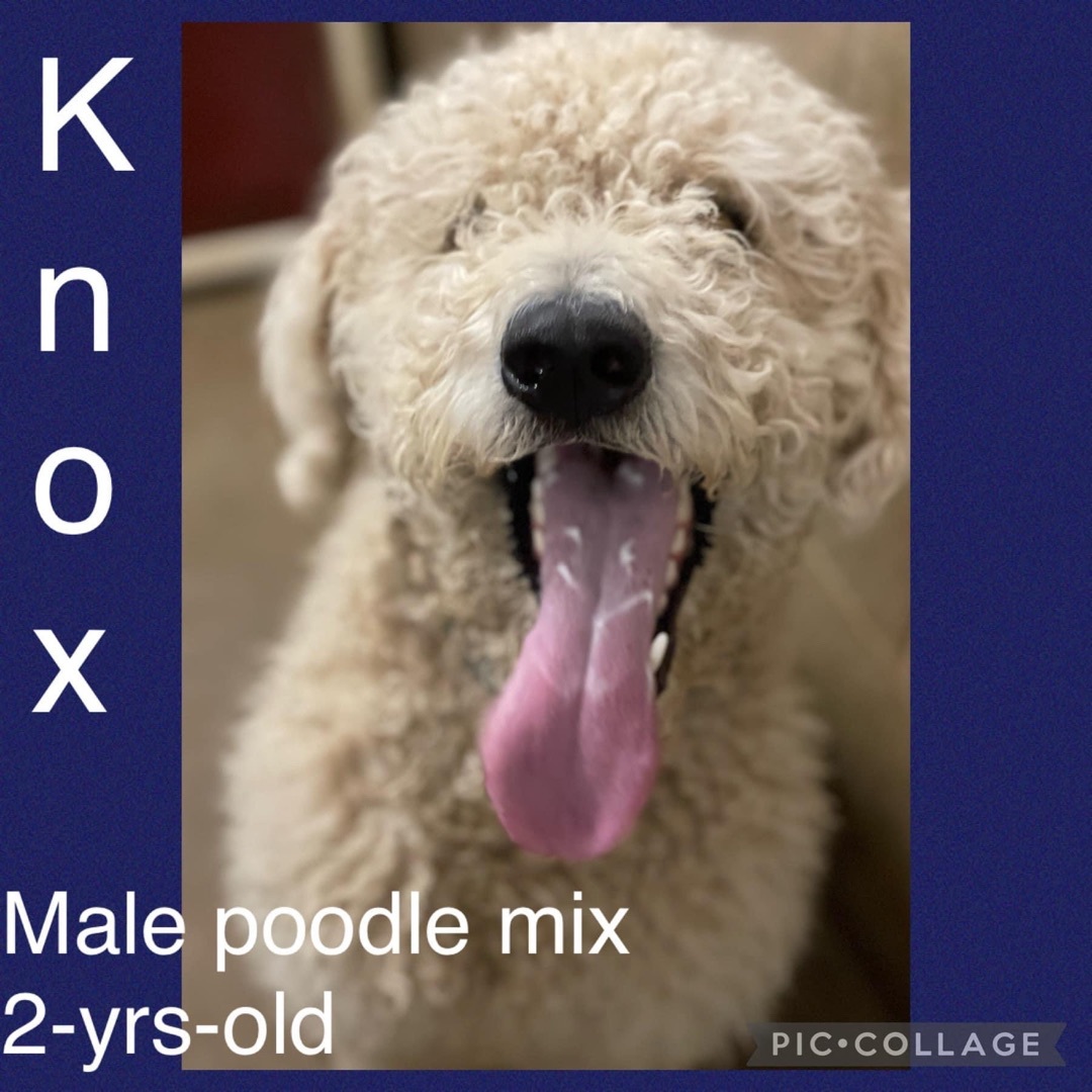 Knox