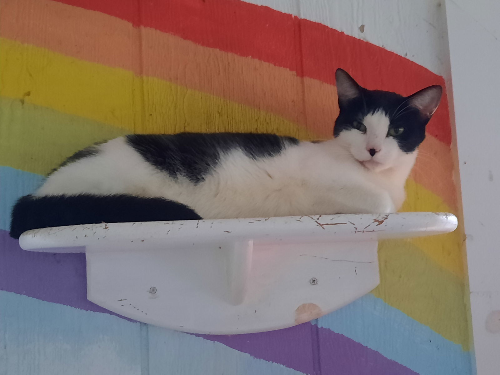 Marley
