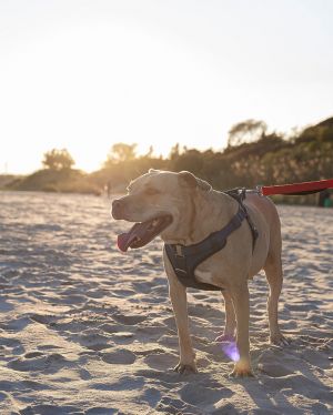 Daisy Marie - America's sweetheart right here!