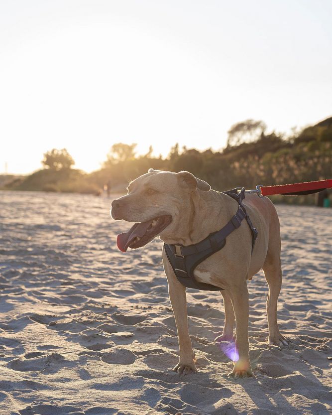 Daisy Marie - America's sweetheart right here!