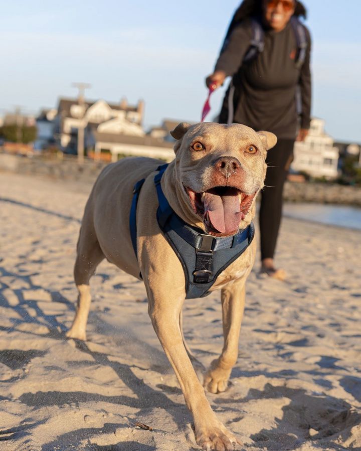 Daisy Marie - America's sweetheart right here! 2