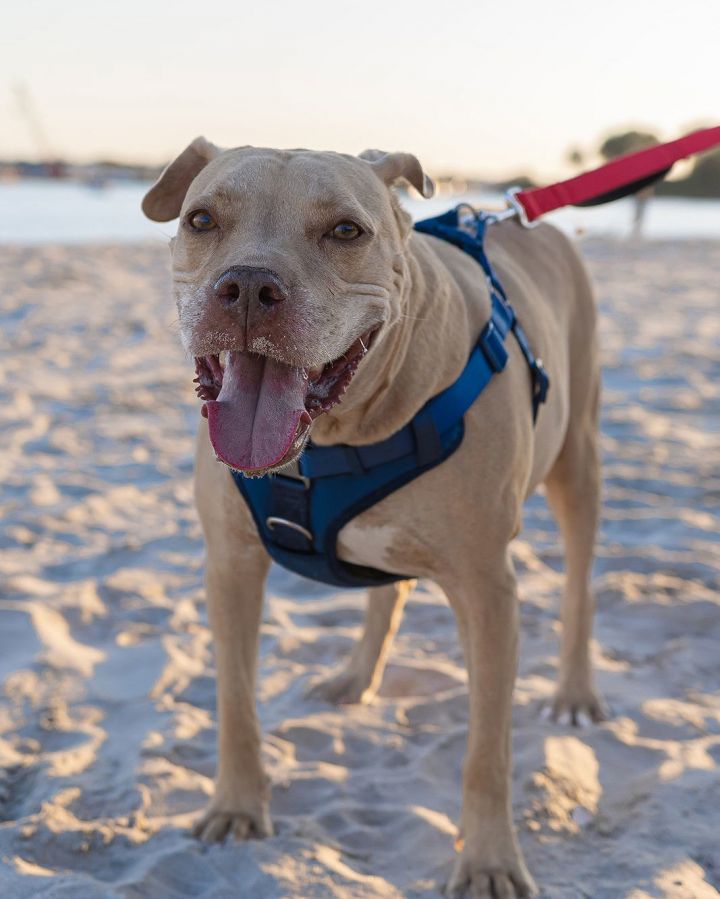 Daisy Marie - America's sweetheart right here! 3