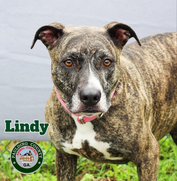 22-05-1531 Lindy