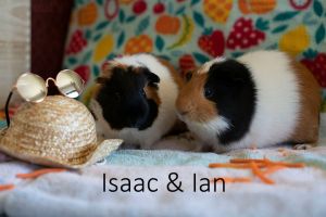 Issac & Ian