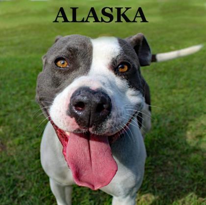 Alaska