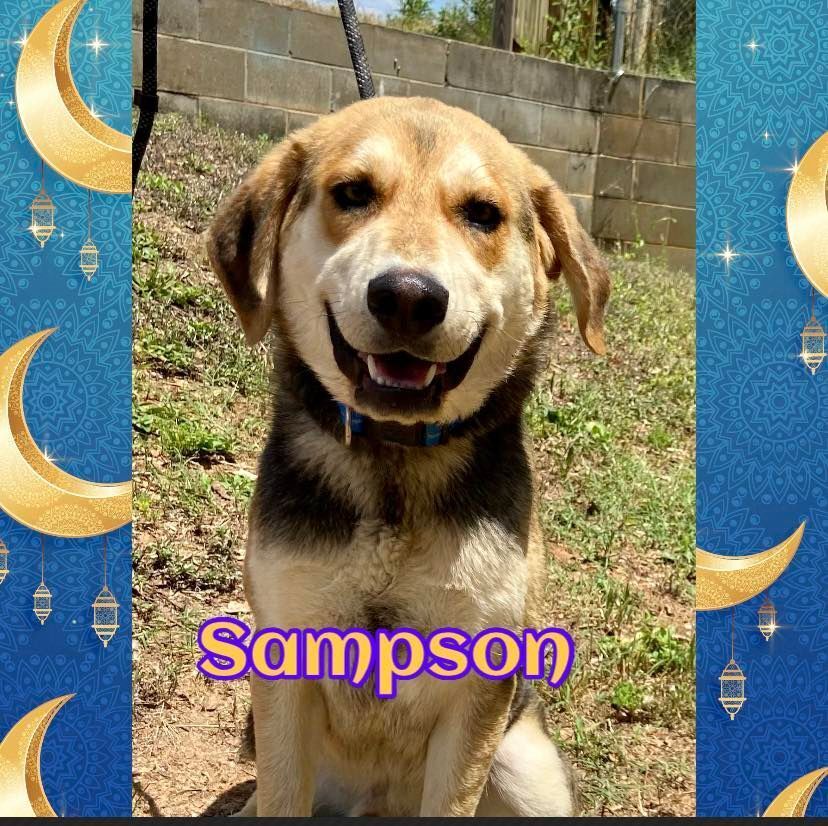 Sampson