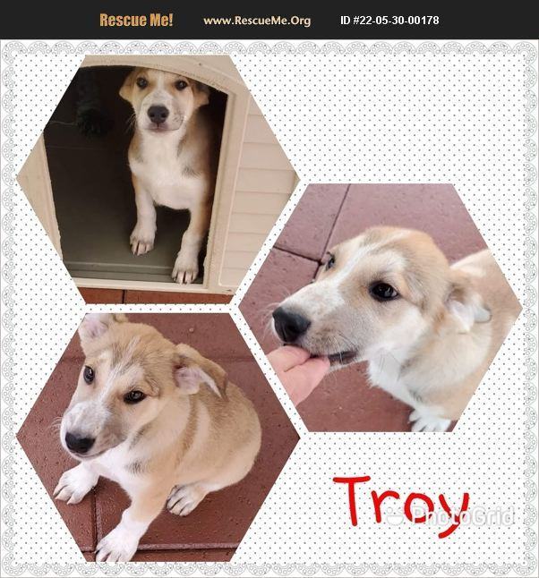 Troy