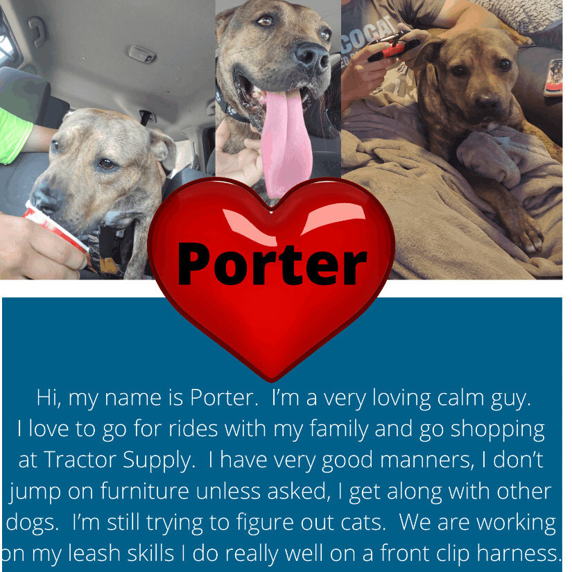 Porter (in a foster home)