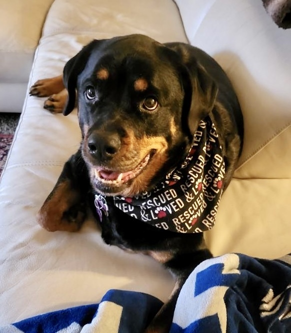 Maggie 1