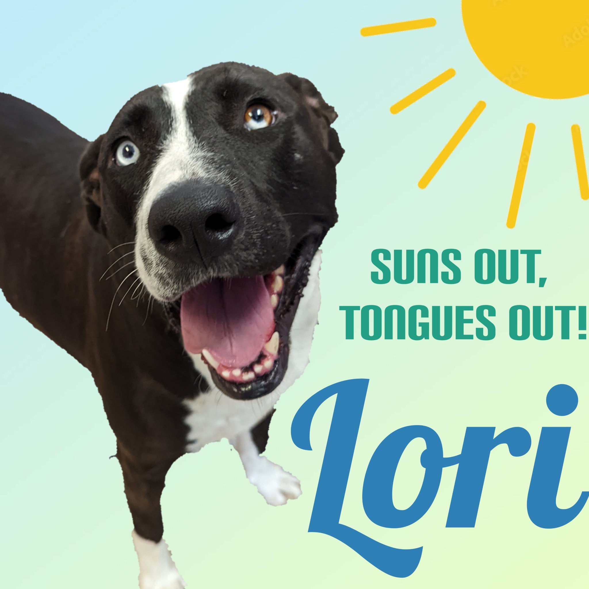 Lori