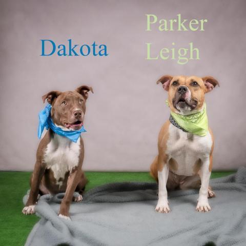 Parker Leigh 05-3154