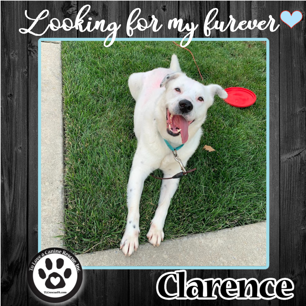 Clarence 060422