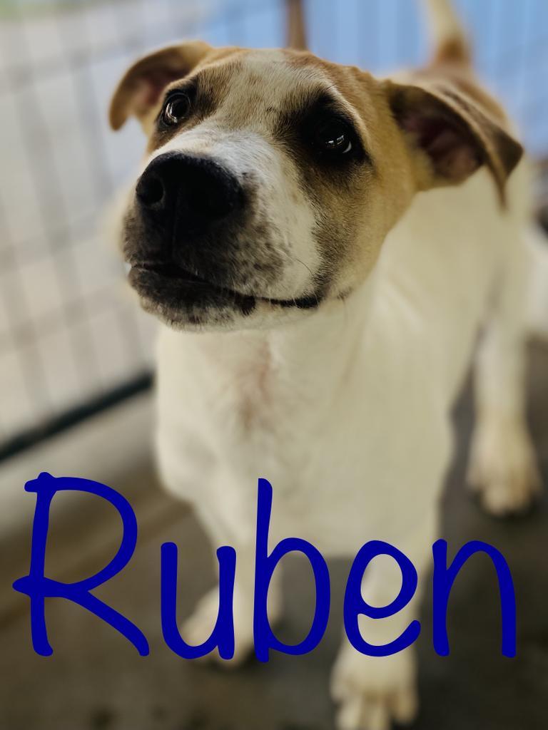 Ruben