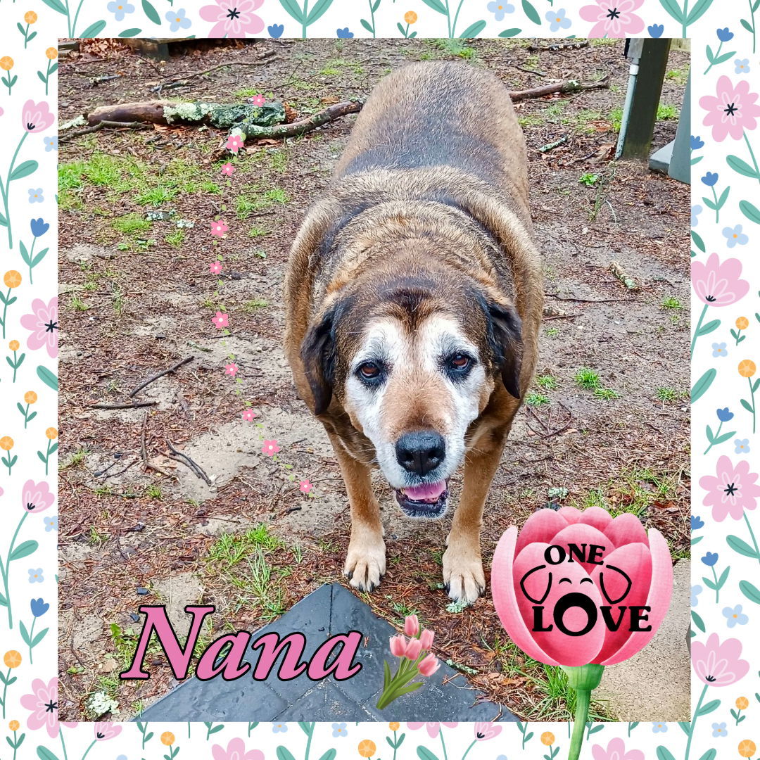 Nana