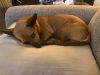 Mya photo 3
