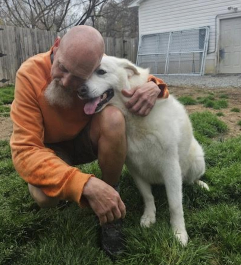 Opal, an adoptable Great Pyrenees in Thomasville, NC, 27361 | Photo Image 2