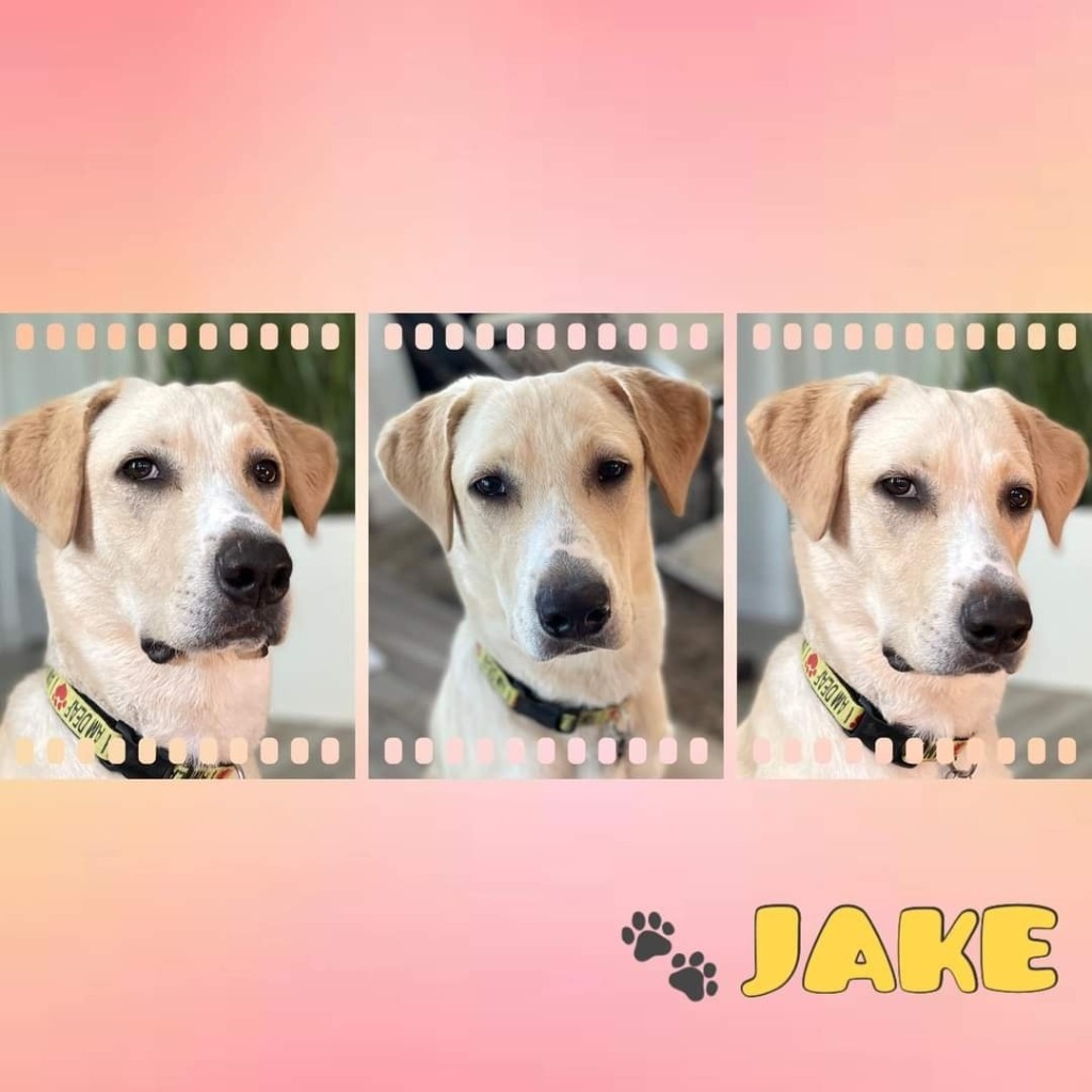 Jake