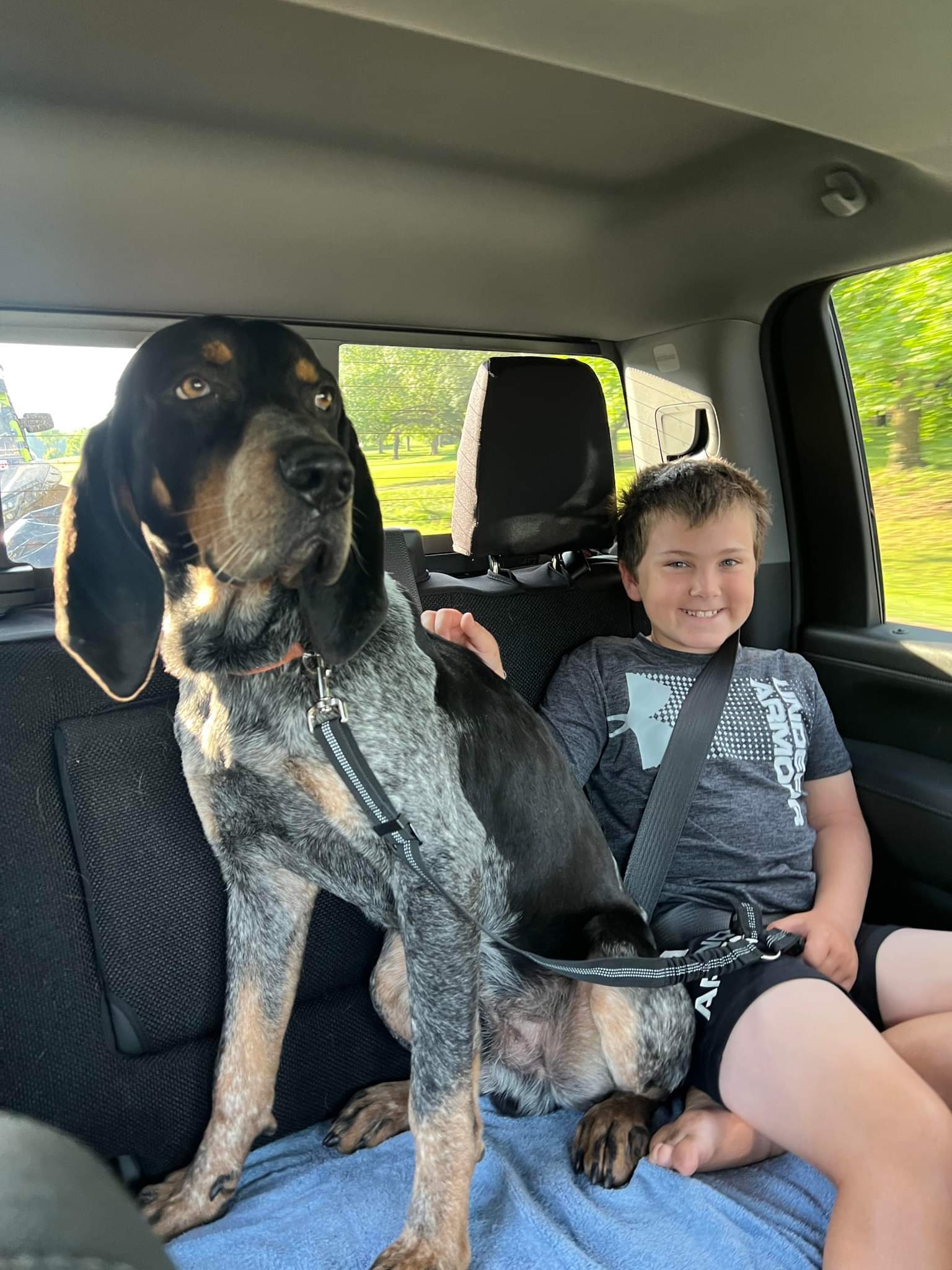 Rupey, an adoptable Bluetick Coonhound in TULSA, OK, 74115 | Photo Image 2