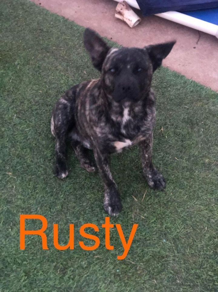 Rusty X 2