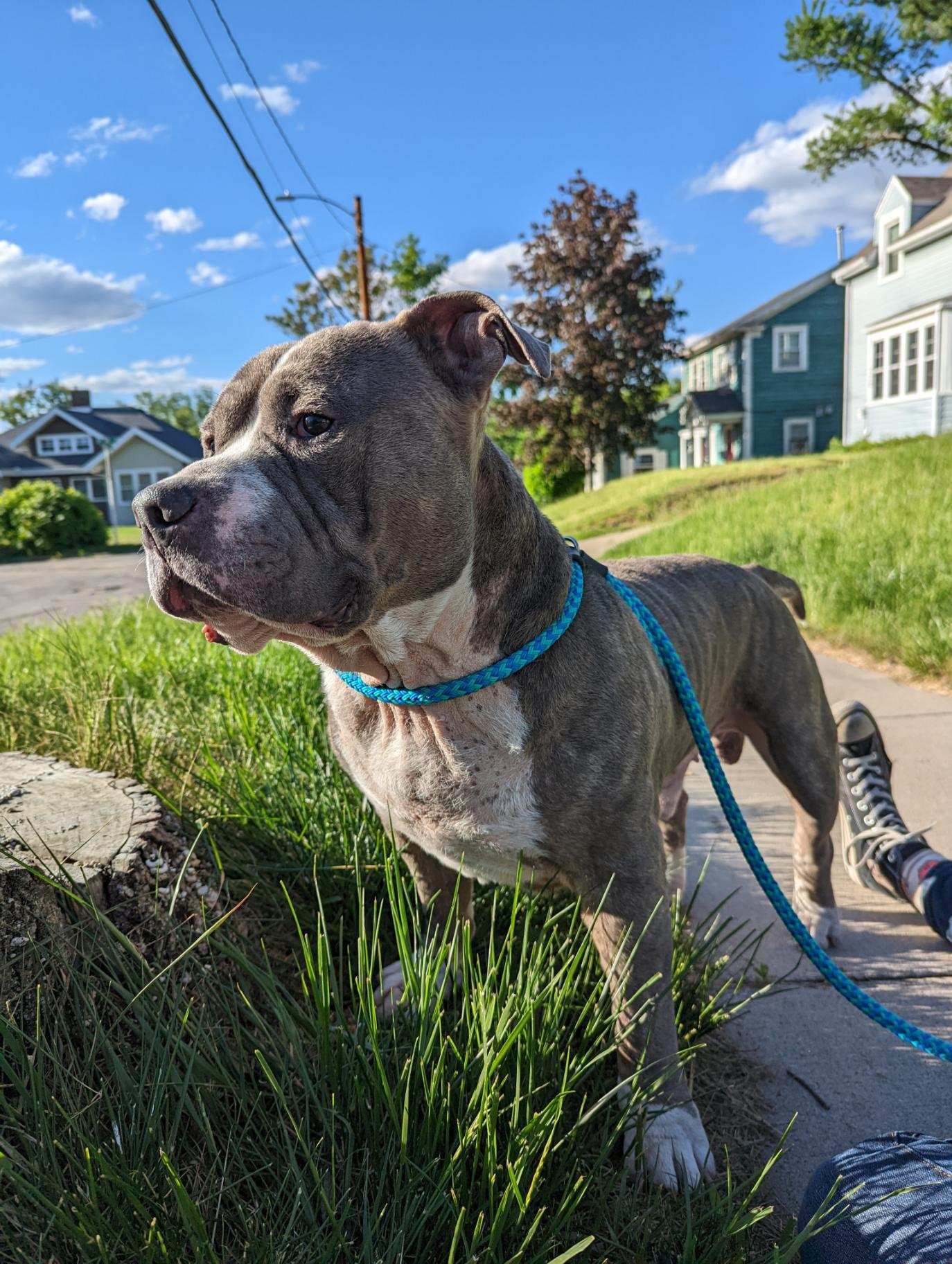 Oscar
