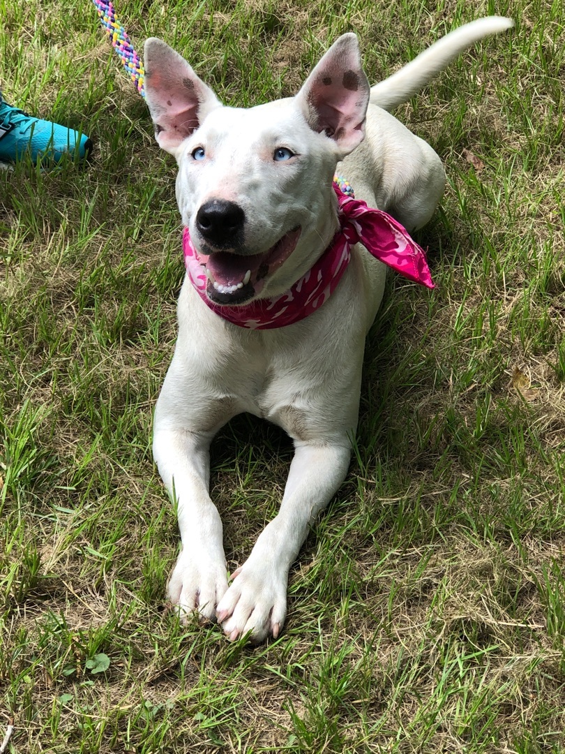 EVIE- blue eyed girl!