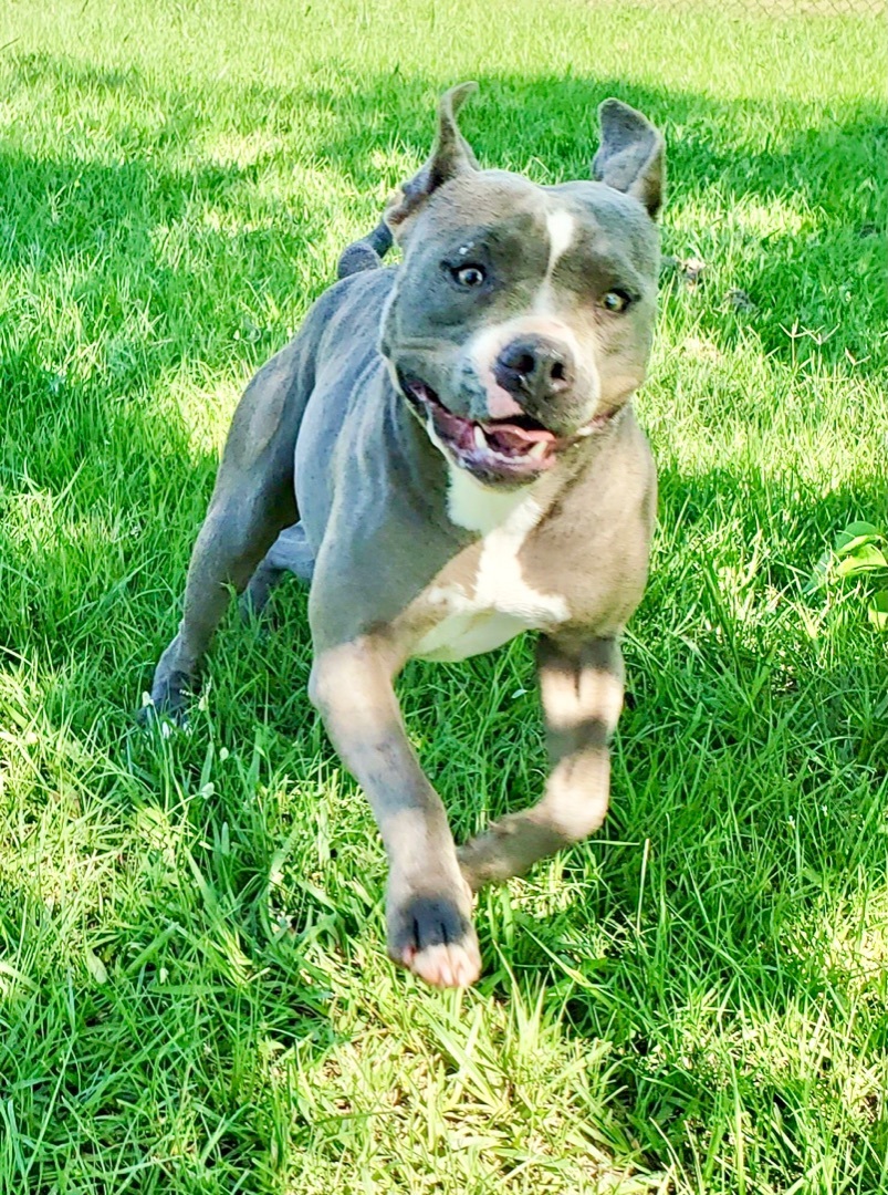 JOJO- happy girl!